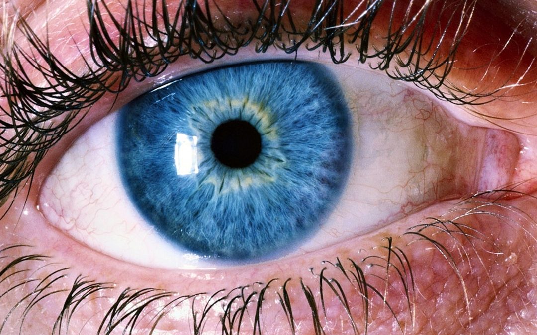 EMDR терапията помага при преодоляване на травмата от диагнозата ендометриоза