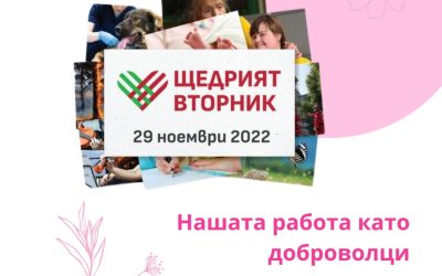Доброволчество във фондацията